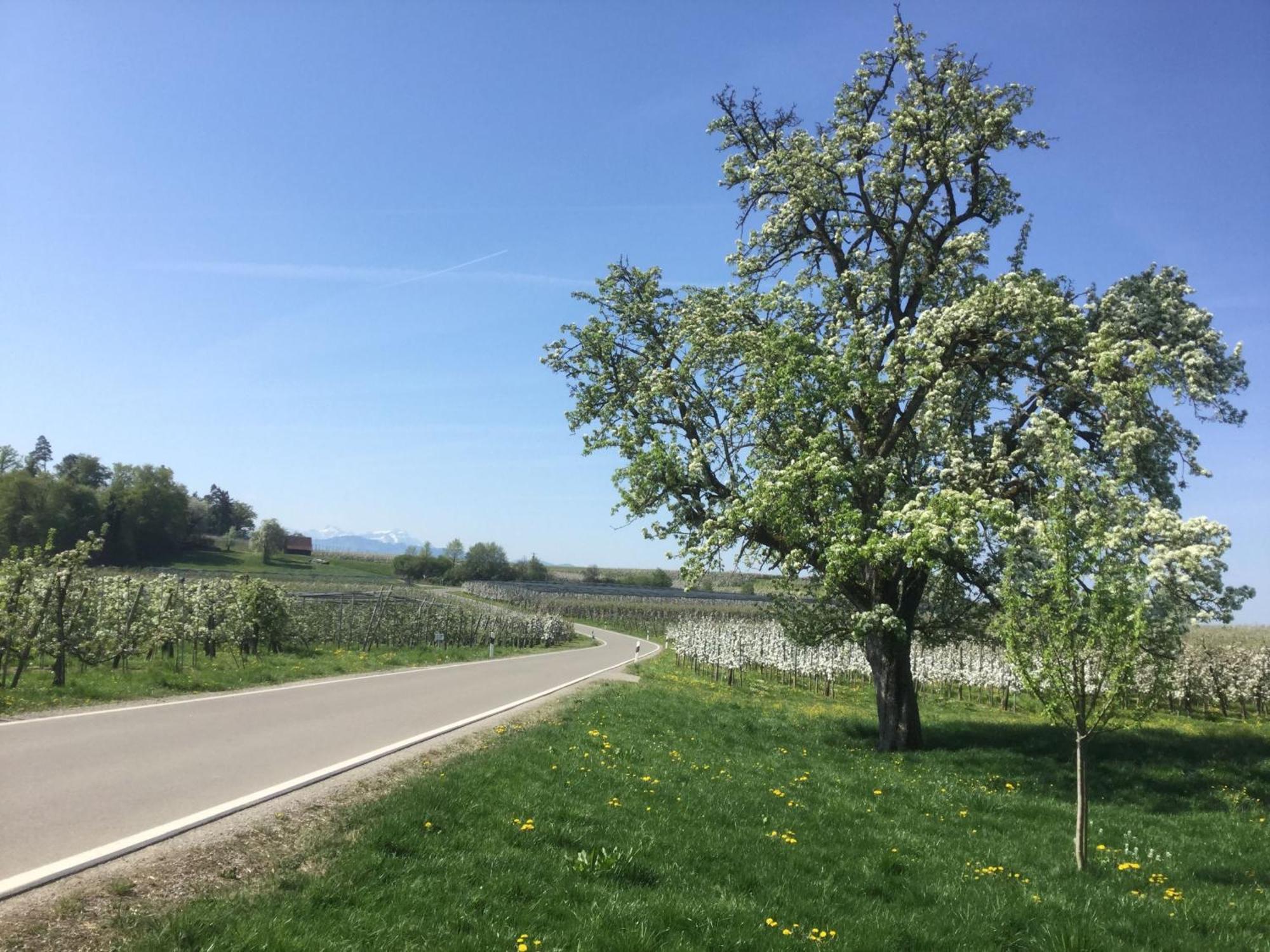 Maisonette Am See 农嫩霍恩 外观 照片