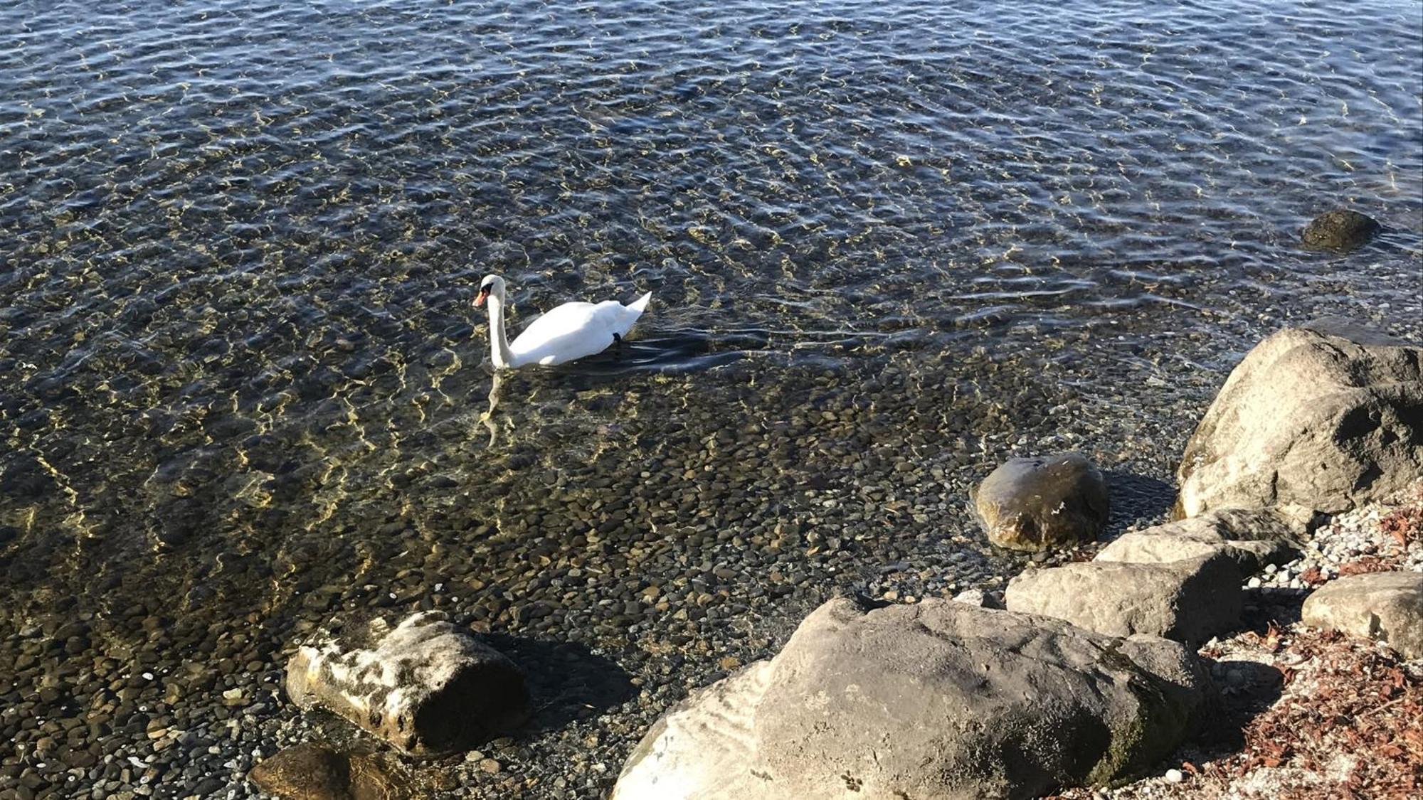 Maisonette Am See 农嫩霍恩 外观 照片
